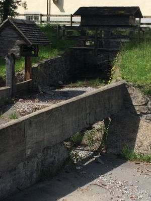 170608_Trift14_bh.jpg