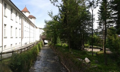 20170608_103618Komp.jpg