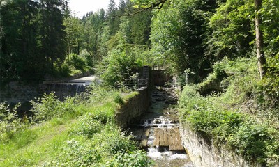 20170608_104841_komp.jpg