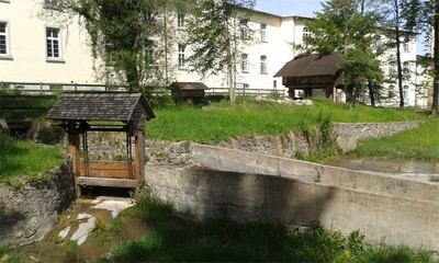 20170608_105202_komp.jpg