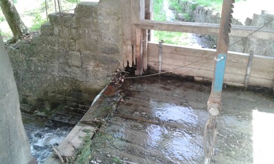 20170608_115235_komp.jpg