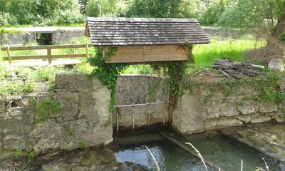 20170608_115338_komp.jpg