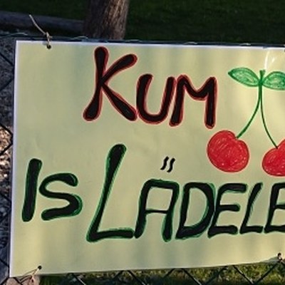 Fraxner_Laedele_6.jpg