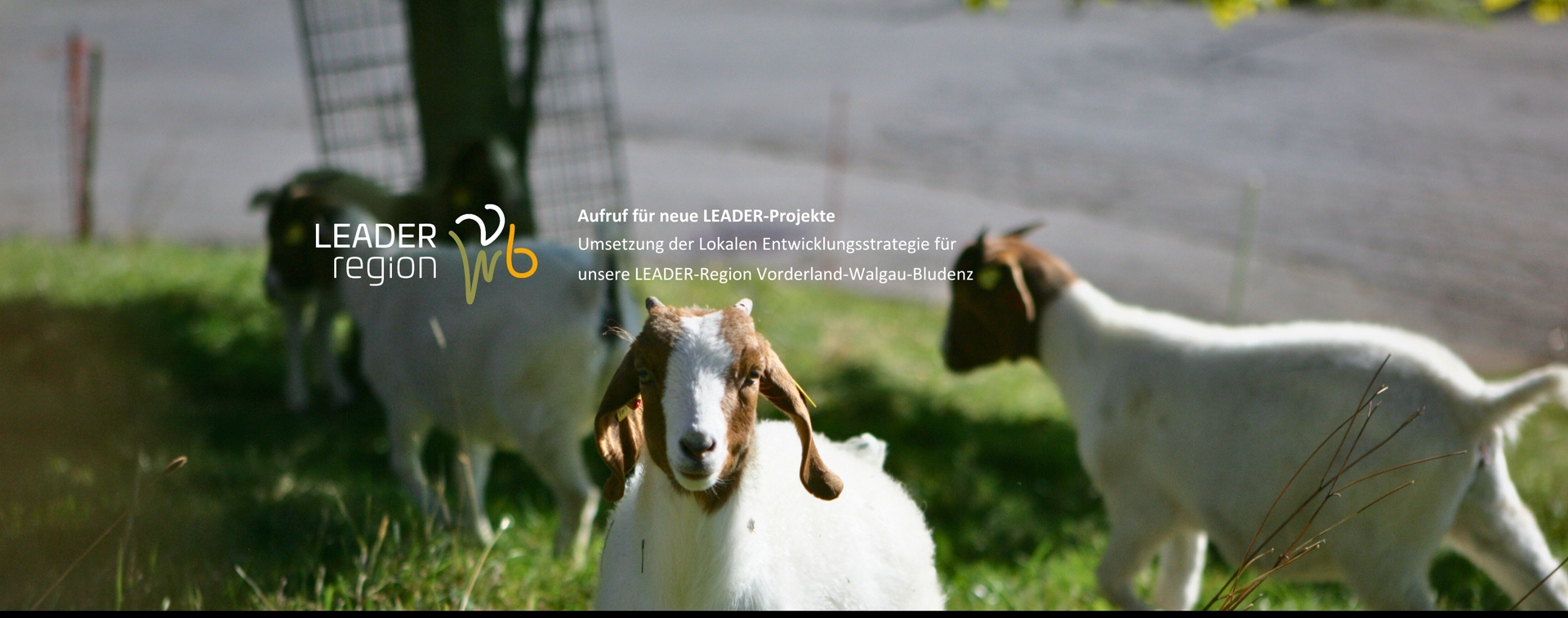 Einreichung von Projekten für die Umsetzung der Lokalen Entwicklungsstrategie (LES) 2023-2027 der LEADER-Region Vorderland-Walgau-Bludenz.