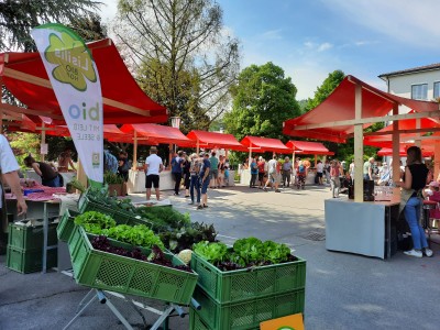 10 Jahre LEADER-Region Vorderland-Walgau-Bludenz