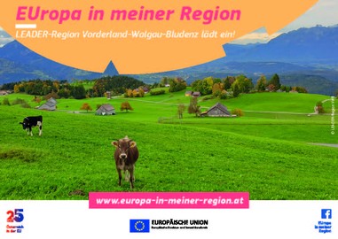 25 Jahre Österreich in der EU
