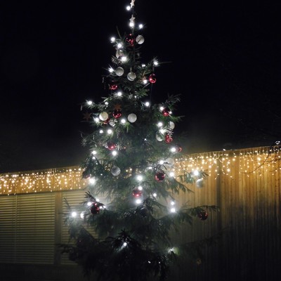 Illuminierung Christbaum und Weihnachtsbeleuchtung