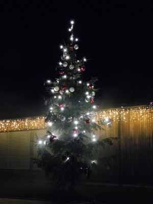 Illuminierung Christbaum und Weihnachtsbeleuchtung Illuminierung Christbaum und Weihnachtsbeleuchtung