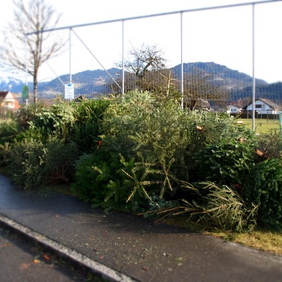 Christbaumentsorgung
