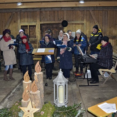 Advent im Walde