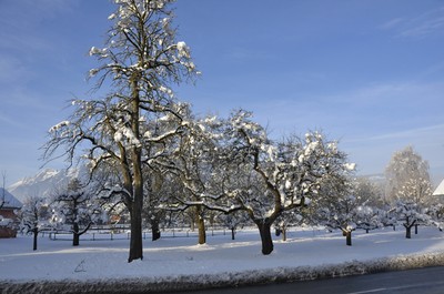 01 Winter im Dorf.jpg