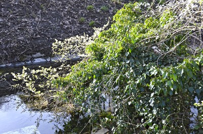 04 Frühling am Kanal.jpg