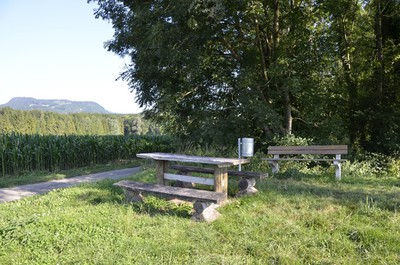 30 Sommer.jpg