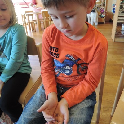 Elementetag im Kindergarten