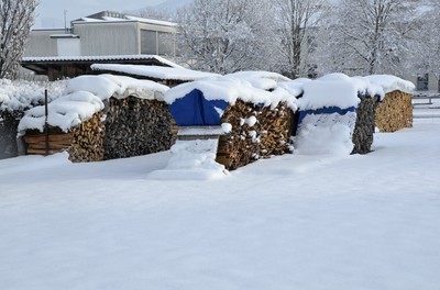 42 Holz.jpg