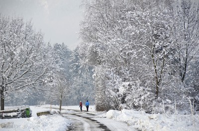 47 Richtung Wald.jpg
