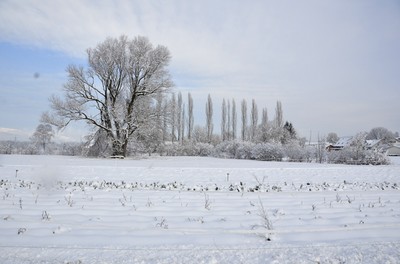 48 Richtung Wald.jpg
