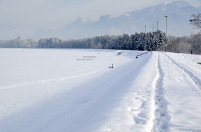 60 Am Rheindamm.jpg