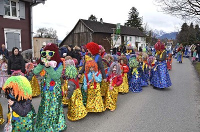 04 Faschingsumug 2017.jpg
