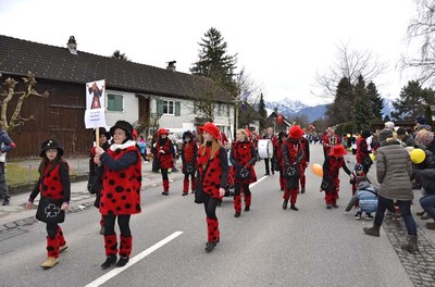 18 Faschingsumug 2017.jpg
