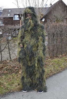 48 Faschingsumug 2017.jpg