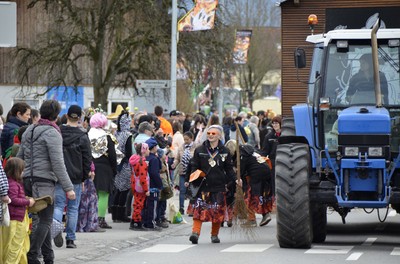 52 Faschingsumzug.jpg
