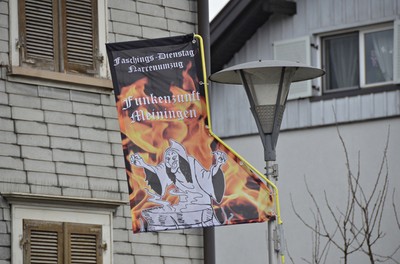 100 Faschingsumzug.jpg