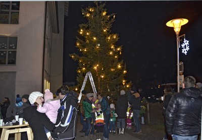 57 Christbaum.jpg