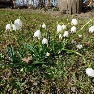 Frühlingserwachen in Meiningen