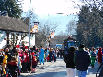 HP_Faschingsumzug_02.jpg