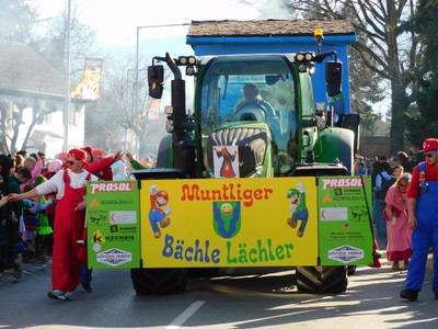 HP_Faschingsumzug_14.jpg