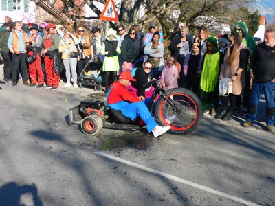 HP_Faschingsumzug_16.jpg