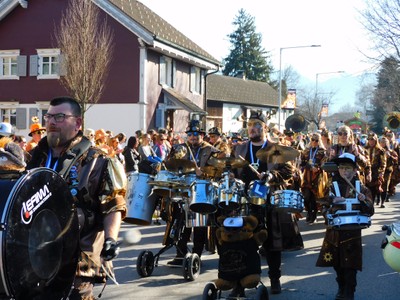 HP_Faschingsumzug_17.jpg