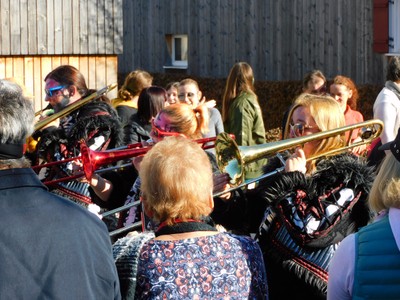 HP_Faschingsumzug_28.jpg