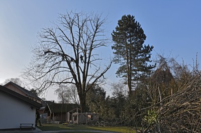 03 Holzarbeiten Kindergarten.jpg