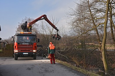 17 Holzarbeiten_Kanalweg.jpg