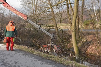 18 Holzarbeiten_Kanalweg.jpg