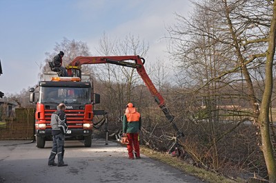 19 Holzarbeiten_Kanalweg.jpg