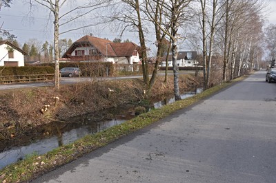 22 Holzarbeiten_Kanalweg.jpg