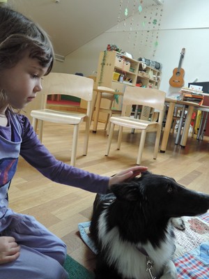 Besuch von Hund Ayvi 13.jpg