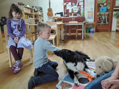 Besuch von Hund Ayvi 15.jpg
