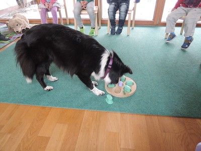Kiga_Besuch von Hund Ayvi 2.jpg