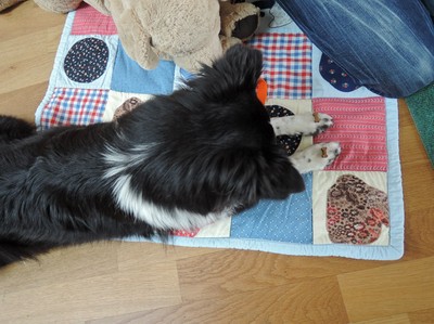 Kiga_Besuch von Hund Ayvi 5.jpg