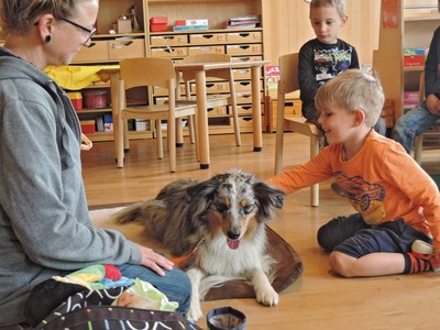 Kiga_Besuch von Hund.jpg