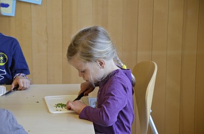 56 Kräutersalz.jpg