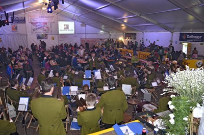 29 Maibaumfest.jpg