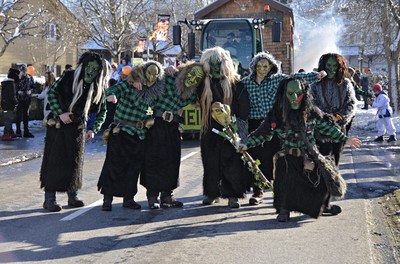 04 Faschingsumzug 2018.jpg