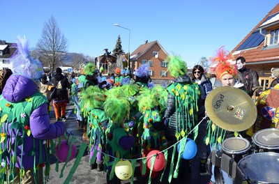 63 Faschingsumzug 2018.jpg