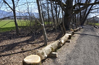 04 Mühlebachweg.jpg