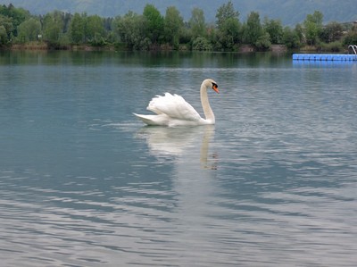 06_Naturerlebnistage.jpg